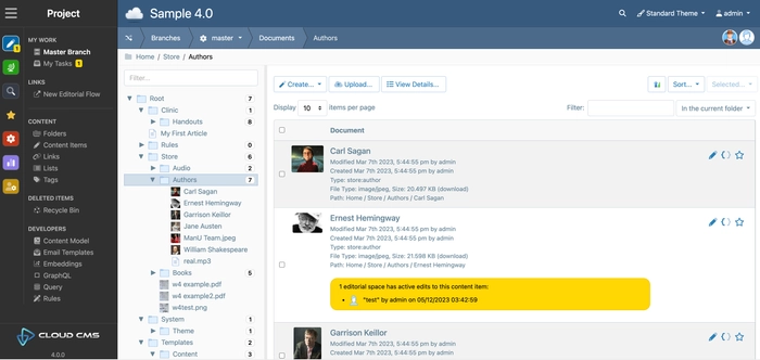 Reimagined User Interface for Gitana 4.0