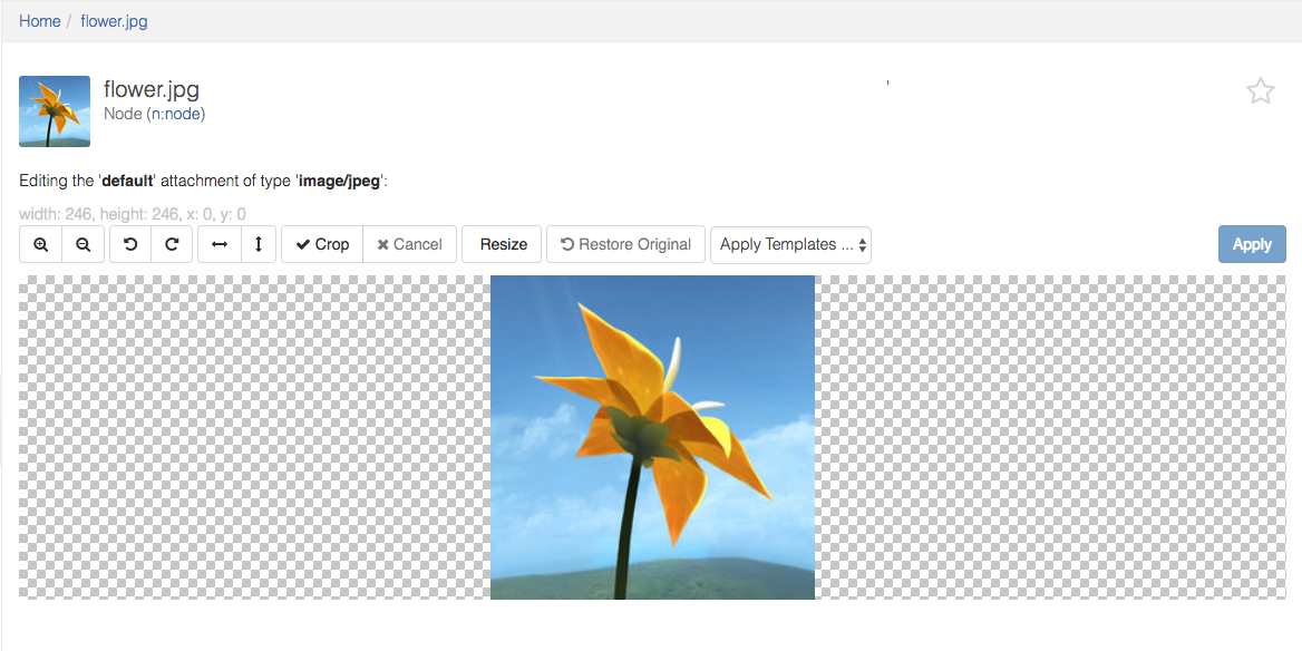image-editor1.png