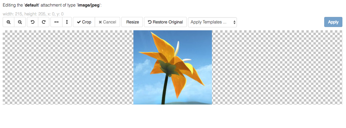 template4.png